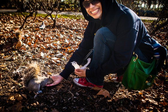NYC Battery Park Squirrels